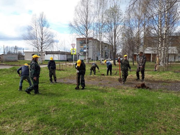 27 мая 2022 года на территории городского поселения «Междуреченск» были высажены саженцы рябины в рамках акции «Сад Памяти». 